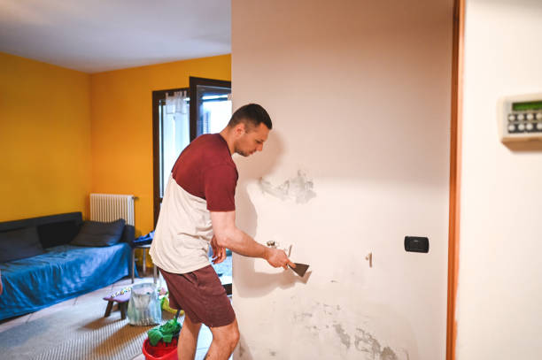 Best Residential Mold Remediation in Waynesboro, GA